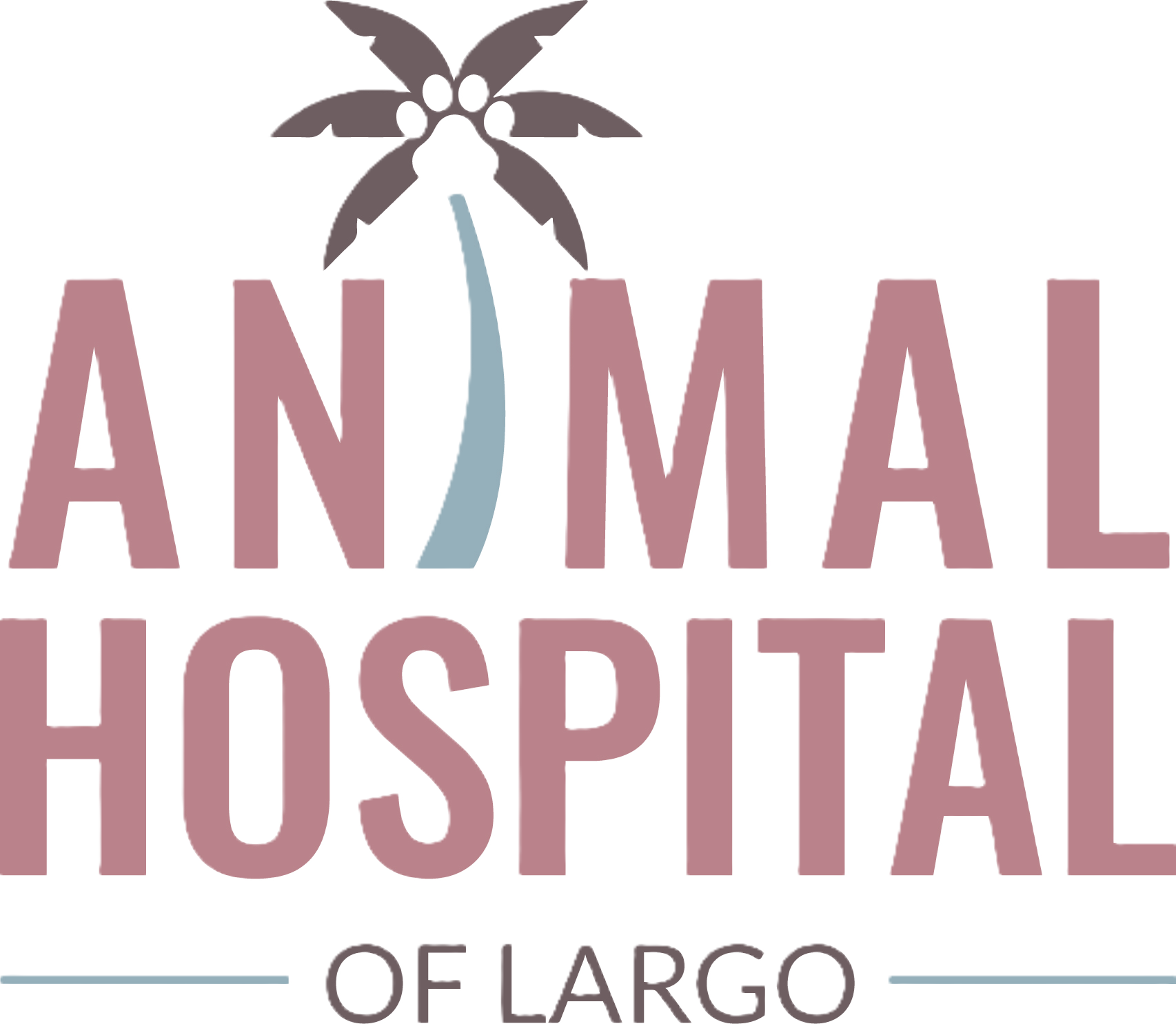 Animal Hospital of Largo Home